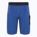 Vyriški maudymosi šortai Quiksilver Saturn Solid 21" Monaco Blue 7