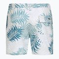 Vyriški maudymosi šortai Quiksilver Wild Fern Volley 17" 2