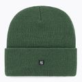 Žieminė kepurė 47 Brand MLB New York Yankees Thorn dark green 2