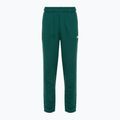 Moteriškos kelnės New Balance French Terry Jogger night watch green