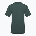 Vyriški marškinėliai Nike Dri-Fit UV Hyverse vintage green/black 2
