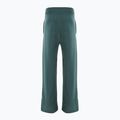 Moteriškos kelnės Nike Sportswear Phoenix Fleece vintage green / sail 2