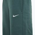 Moteriškos kelnės Nike Sportswear Phoenix Fleece vintage green / sail 3