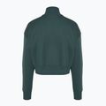Moterų Nike Sportswear Phoenix Fleece 1/2 Zip Cropped vintage green/ sail džemperis 2