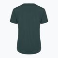 Moteriški marškiniai Nike One Classic Dri-Fit vintage green / black 2