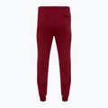 Vyriškos kelnės Nike Club Fleece Joggers team red/team red 2