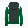 Vaikiškas džemperis Nike Air Hoodie vintage green/malachite/sail/sail 2