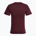 Vyriški bėgimo marškinėliai Nike Dri-Fit UV burgundy crush 2