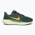 Vyriški bėgimo batai Nike Pegasus 41 vintage green / bicoastal / black / infinite gold 2