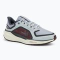 Vyriški bėgimo batai Nike Pegasus 41 GTX light pumice/ burgundy crush/ dark smoke grey/ ashen slate