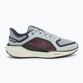 Vyriški bėgimo batai Nike Pegasus 41 GTX light pumice/ burgundy crush/ dark smoke grey/ ashen slate 2
