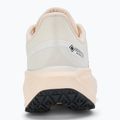 Moteriški bėgimo batai Nike Pegasus 41 GORE-TEX sail/ guava ice/ crimson tint/ anthracite 6