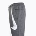 Vyriškos kelnės Nike Therma-FIT Fitness black/heather/black/white 3