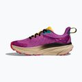 Moteriški bėgimo batai HOKA Challenger 7 GTX superbloom/oatmeal 3