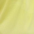Vyriški bėgimo marškinėliai HOKA Race Singlet hoka citrus 9