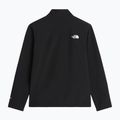 Vyriška softshell striukė The North Face Apex Bionic 3 tnf black-npf 2