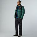 Vyriškos kelnės The North Face Antora Rain black 2