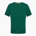 Vyriški termoaktyvūs marškinėliai Smartwool Merino Sport 120 evergreen