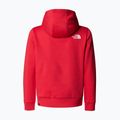 Vaikiškas džemperis The North Face Teen Simple Dome Hoodie hibiscus 2