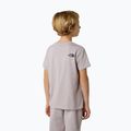 Vaikiški marškinėliai The North Face Teen Simple Dome Tee moonstone grey 3