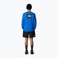 Vyriški marškinėliai ilgomis rankovėmis The North Face Box Nse Tee heroblue/tnfblk 2