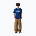 Vyriški marškinėliai The North Face Mountain Line Tee estate blue 2