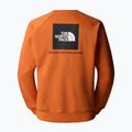 Vyriškas džemperis The North Face Raglan Box Nse Crew iron bronze/tnf black 2