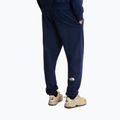 Vyriškos žygių kelnės The North Face Simple Dome Light Regular Tapered Jogger summit navy 3