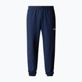 Vyriškos žygių kelnės The North Face Simple Dome Light Regular Tapered Jogger summit navy 4