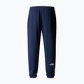 Vyriškos žygių kelnės The North Face Simple Dome Light Regular Tapered Jogger summit navy 5