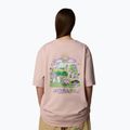 Vyriški marškinėliai The North Face Reflective Box Nse Tee pink moss 3