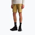 Vyriški žygių šortai The North Face Lightning SHT khaki stone/npf