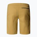 Vyriški žygių šortai The North Face Lightning SHT khaki stone/npf 6
