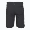 Vyriški žygių šortai The North Face Speedlight Slim Tapered Short asphalt grey/npf 2