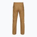 Vyriškos kelnės The North Face Limestone utility brown 2