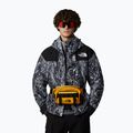 Rankinė ant juosmens The North Face Base Camp Lumbar summit gold/tnf black 6