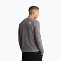 Vyriškas džemperis The North Face Kecha Crew smoked pearl/asphalt grey 3