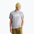 Vyriški marškinėliai The North Face Evolution Half Dome tnf pale grey heather