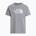 Vyriški marškinėliai The North Face Evolution Half Dome tnf pale grey heather 4