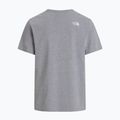 Vyriški marškinėliai The North Face Evolution Half Dome tnf pale grey heather 5