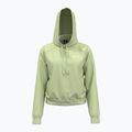 Moteriškas džemperis Under Armour Pro Fleece Hoodie retro green/white