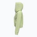 Moteriškas džemperis Under Armour Pro Fleece Hoodie retro green/white 4