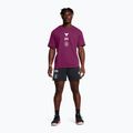 Vyriški šortai Under Armour Project Rock Terry Badge Of Honor Fleece black 2