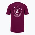 Vyriški treniruočių marškinėliai Under Armour Project Rock Badge Of Honor purple 4