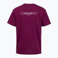 Vyriški treniruočių marškinėliai Under Armour Project Rock Terry Q3 purple 2