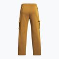 Vyriškos treniruotės kelnės Under Armour Project Rock Icon Fleece geltonos okros/spalvos dumblas 2