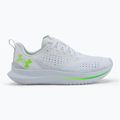 Vyriški bėgimo bateliai Under Armour Velociti 4 white/white/hyper green 2