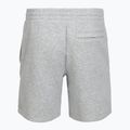 Vyriški šortai Under Armour Icon Fleece mod gray light heather/white 4