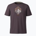 Vyriški žygio marškinėliai Smartwool Peak Energy Active Graphic mink heather 3