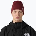 Žieminė kepurė The North Face Norm Beanie sumac 3